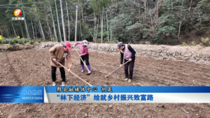 黟县：“林下经济”绘就乡村振兴致富路